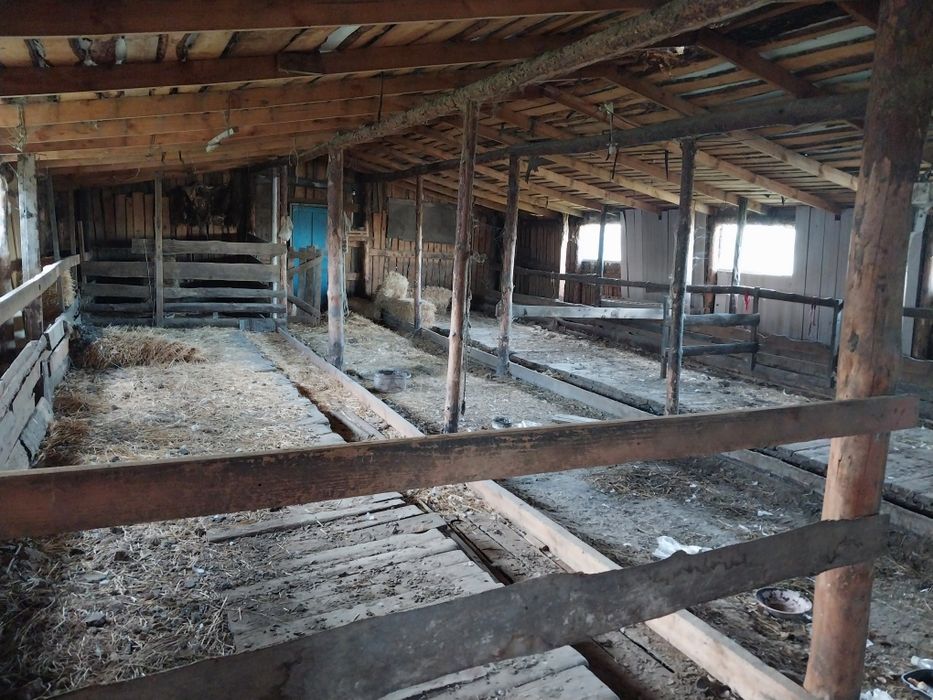 Продам дом в майколе