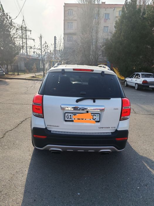 Kaptiva. 3. Oq jemchuk