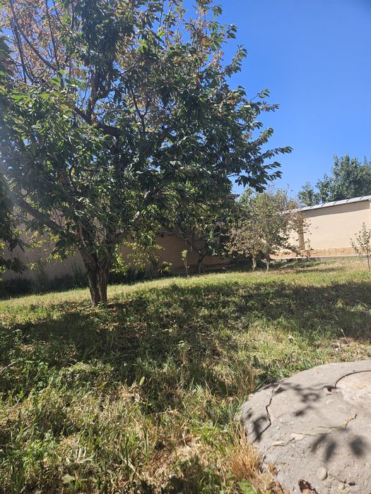 Дурмон Қ.Ф.Й Янги Арғин маҳалласида 2.4    сотих ер участкаси сотилади