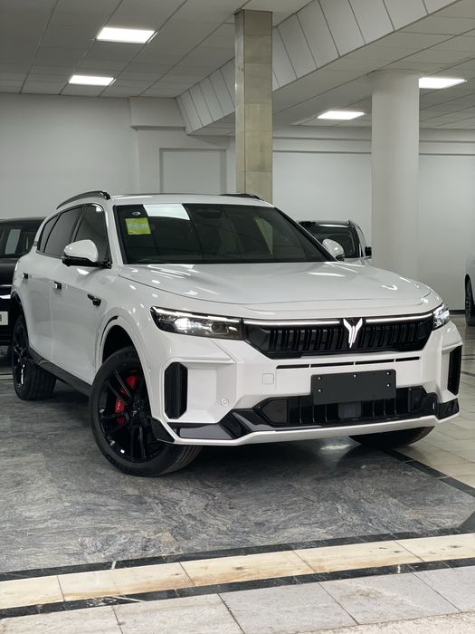 Voyah free apollo tech 318 full