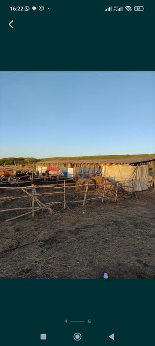 Продам дом, подхозное хозяйства