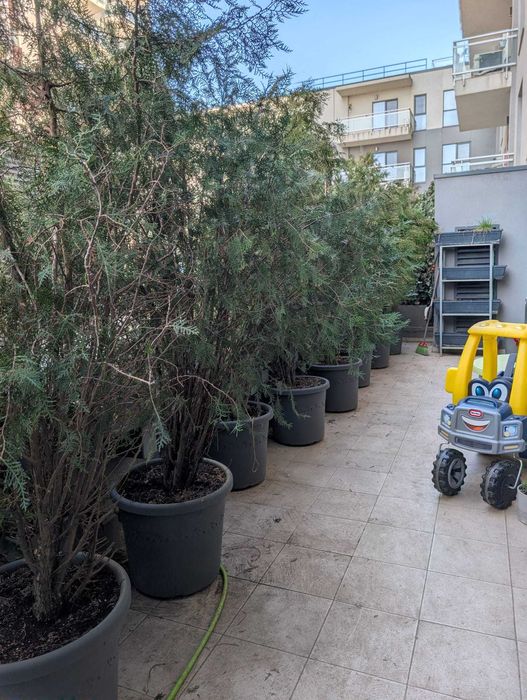 Apartament 3 cam + terasă + 2 loc parcare Fabrica de Glucoza