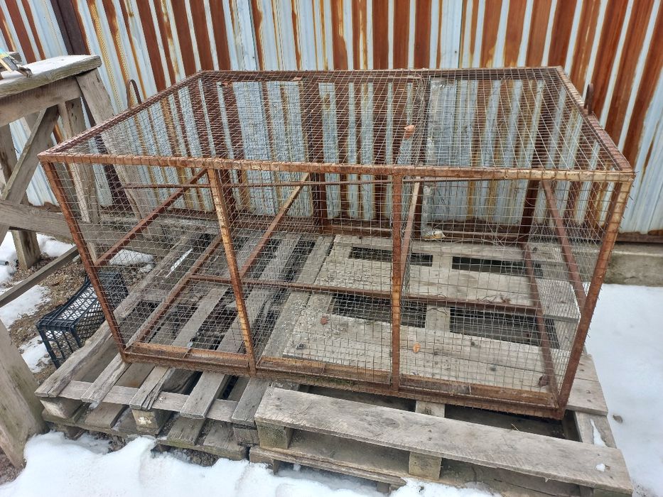 Сетка для птиц и цыплят , поп