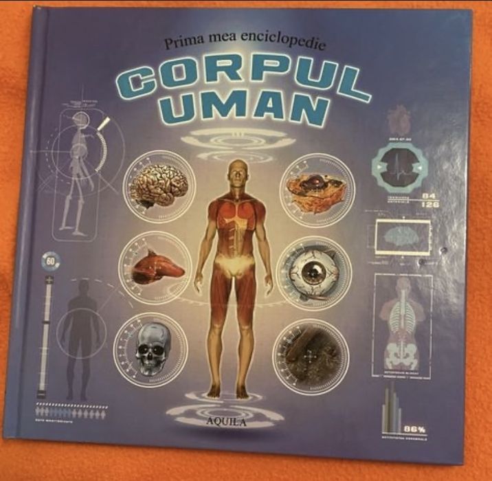 Întrebări si răspunsuri / Prima mea enciclopedie (corpul uman) Noi