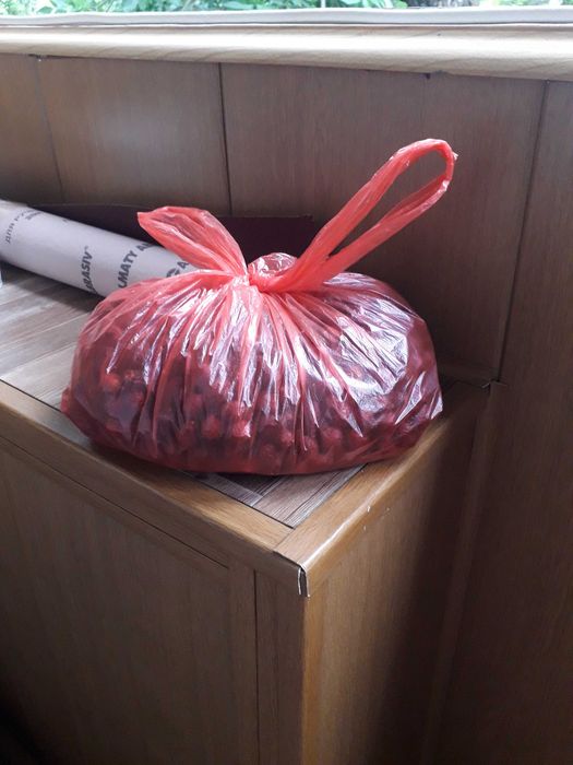 Шиповник местный