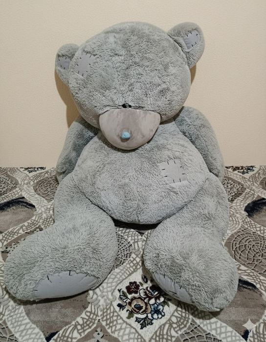 Pushti ayiq va teddy