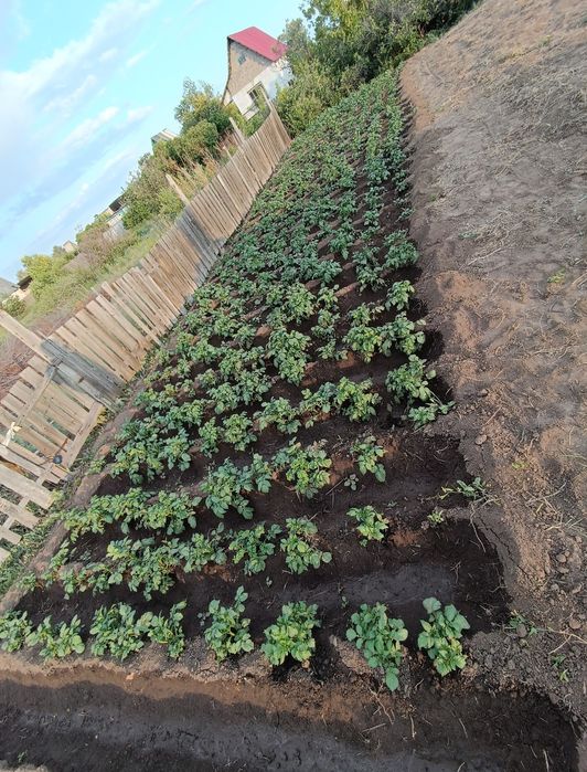 Дача ПК горняк  .