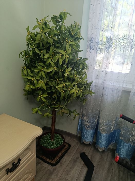 Продам искусственное дерево дикий лимон