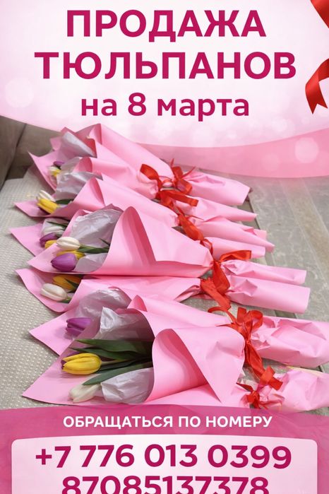 Цветы тюльпаны отличные