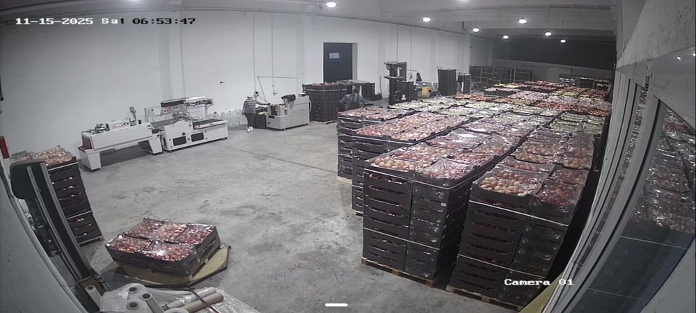 Suc de mere 100%, presat la rece, pasteurizat