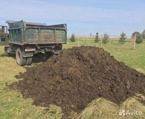 Продам зил полный навоз по городу