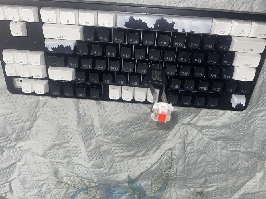 Клава:Ardor dreamy