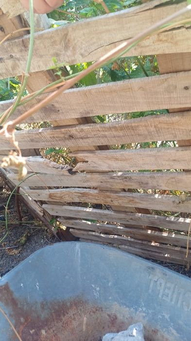 Поддоны ,палеты  осталось 8 штук