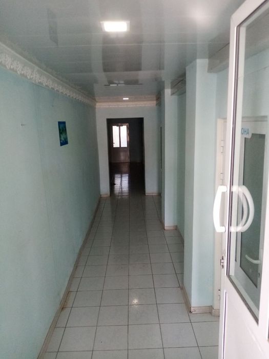 Hamma xujjatlari tayyor litsenziya bor