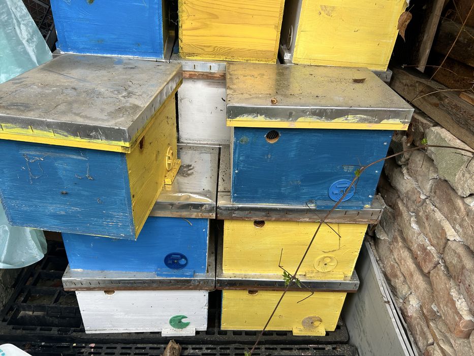 Пчелно оплдоно сандъче