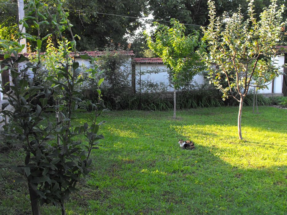 Продава се Къща в с. Дойренци, Област Ловеч - 200 кв.м за 222 €/кв.м - Снимка #2