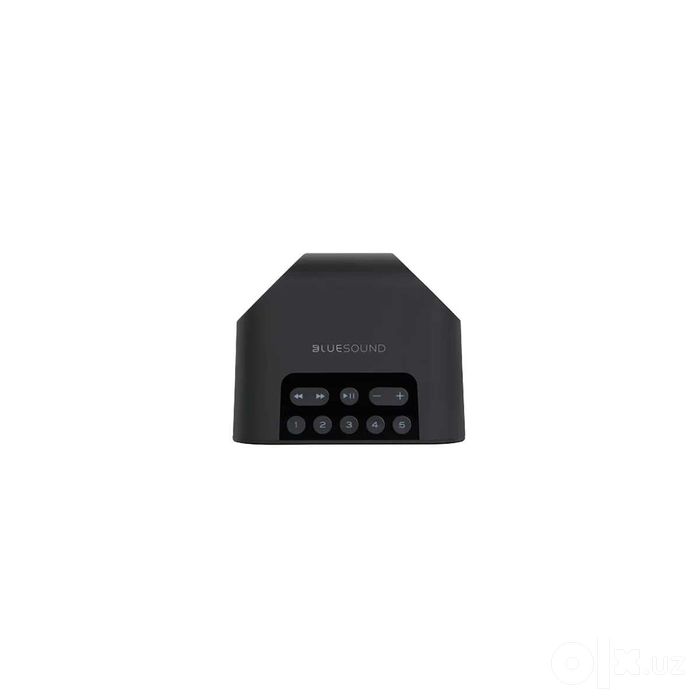 Bluesound Pulse Flex 2i . Беспроводная Hi-Fi-акустика