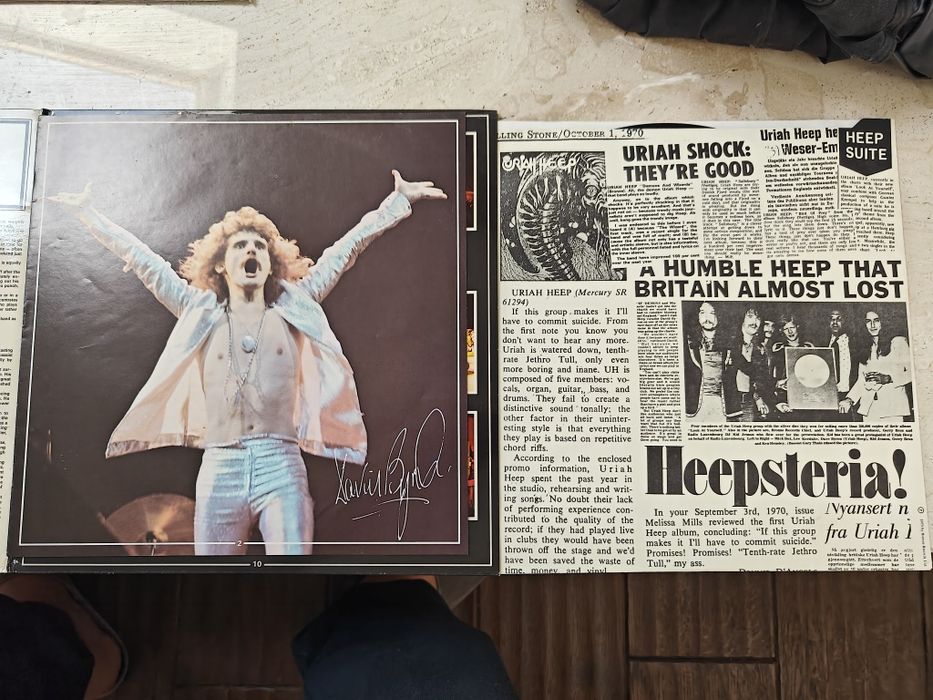 Discuri vinyl rock de colecție