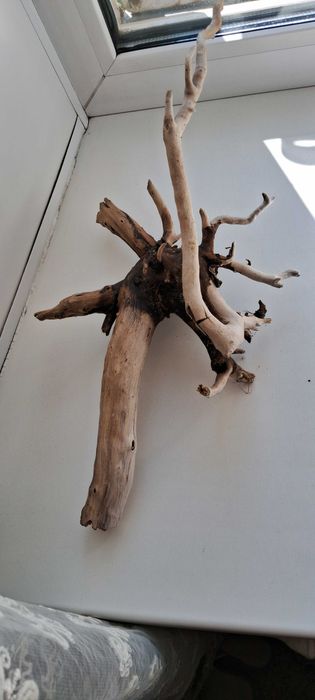Коряга в аквариум