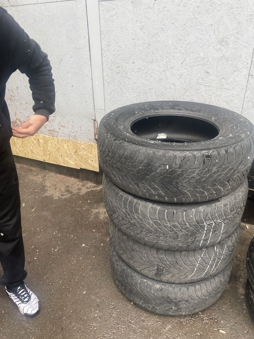 Шино россия.  05