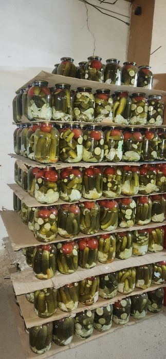 Сатылымда 1200 тг