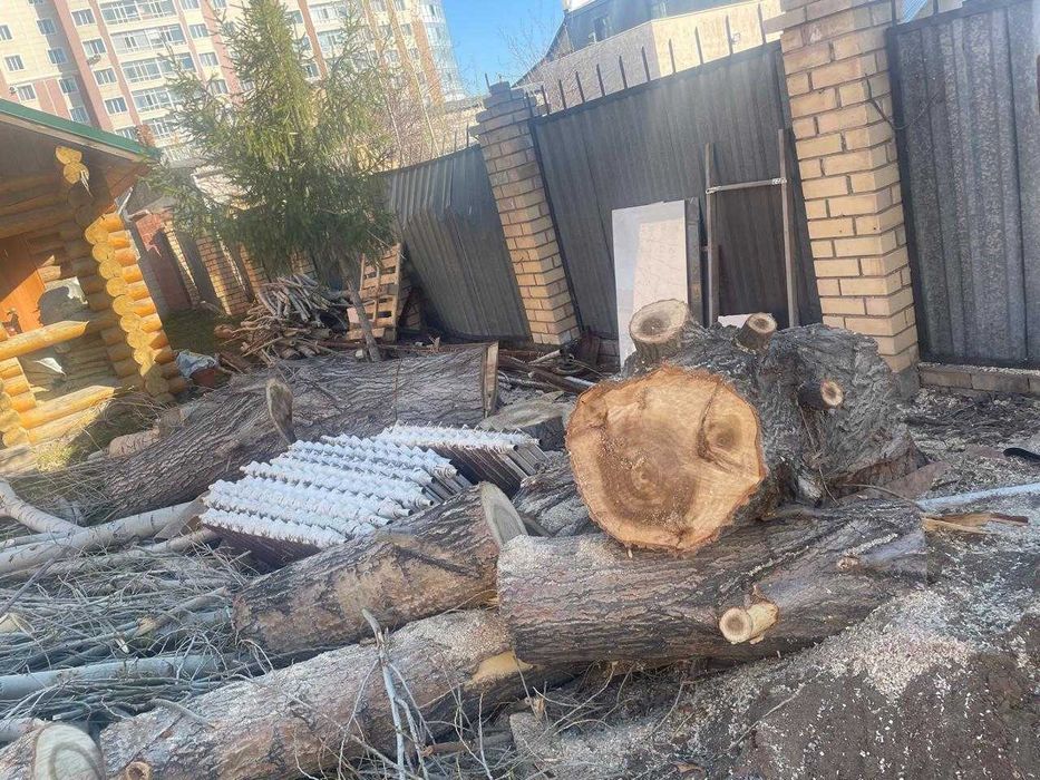 Дрова даром бесплатно