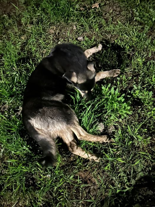 Кабель в добрые руки