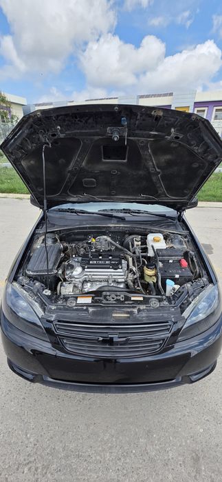 Жентра 2023 3 поз