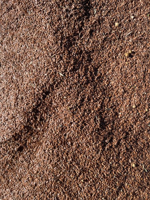 Лен коричневый большой обьем