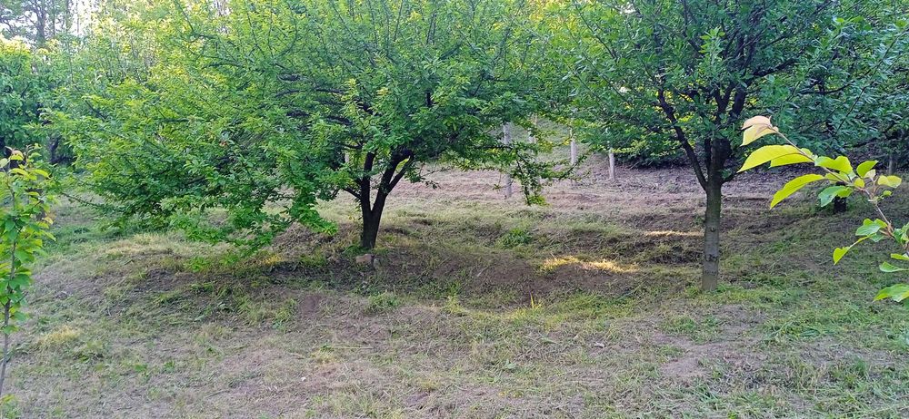 Продава се Къща в Видин, Акджамия - 56 кв.м за 1822 €/кв.м - Снимка #4