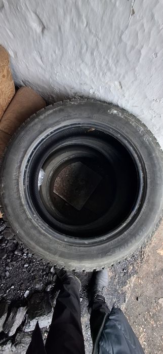 18дік балон екі пара