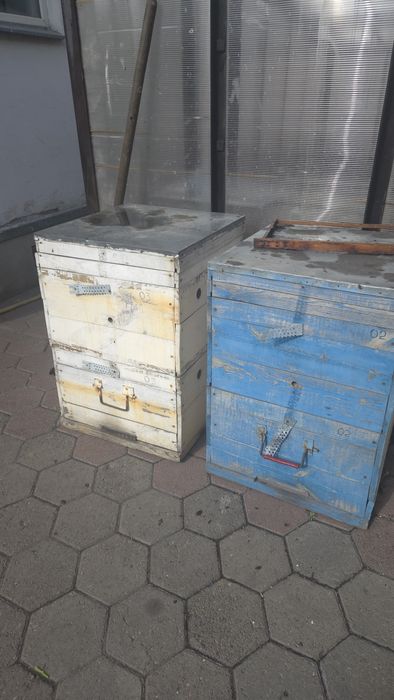 Улья пчелиные продам