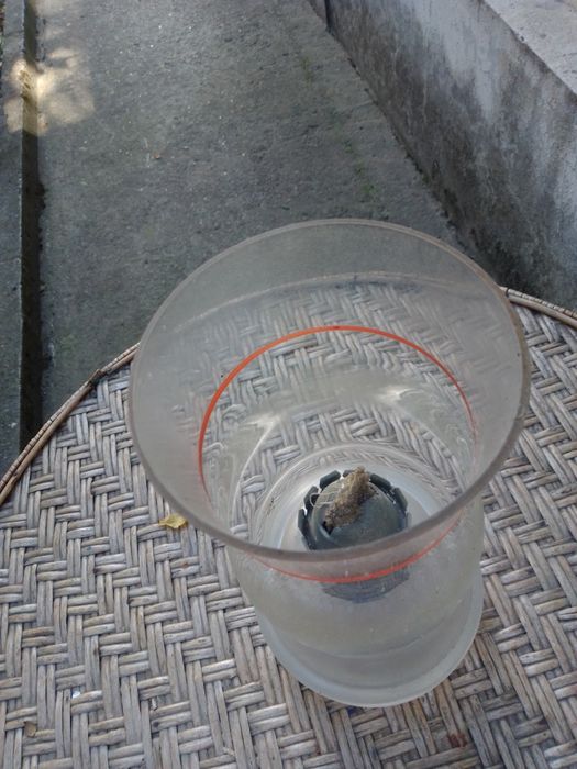 Антикварни предмети от 10 до75лв.