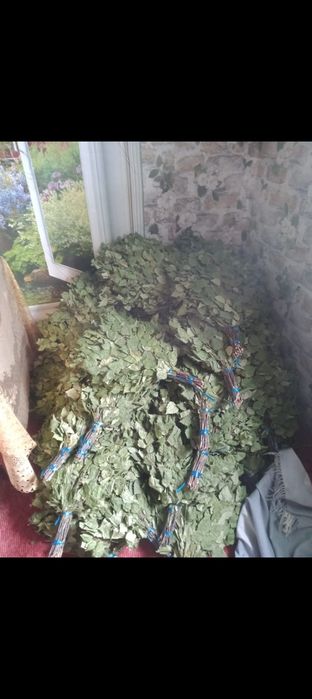 Продам  веники берёзовые.цена 1000тг