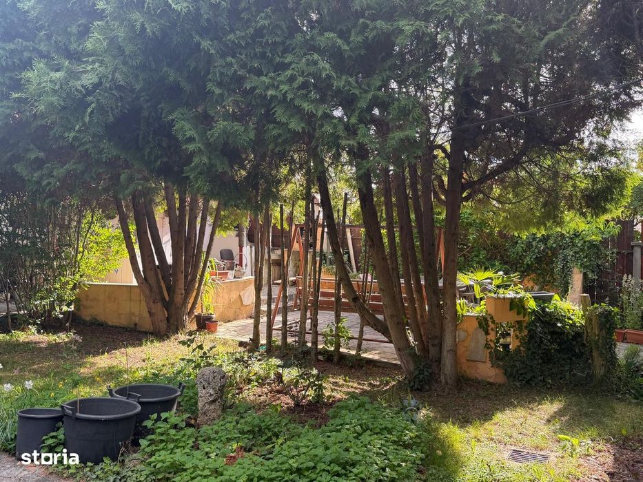 Casă lângă Grădina Botanică