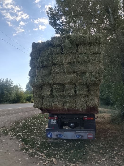 Жоңышка сатылады