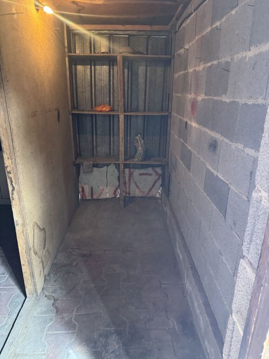 ECO   аренда бердеды