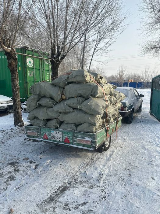 Дрова сухие  рубленые