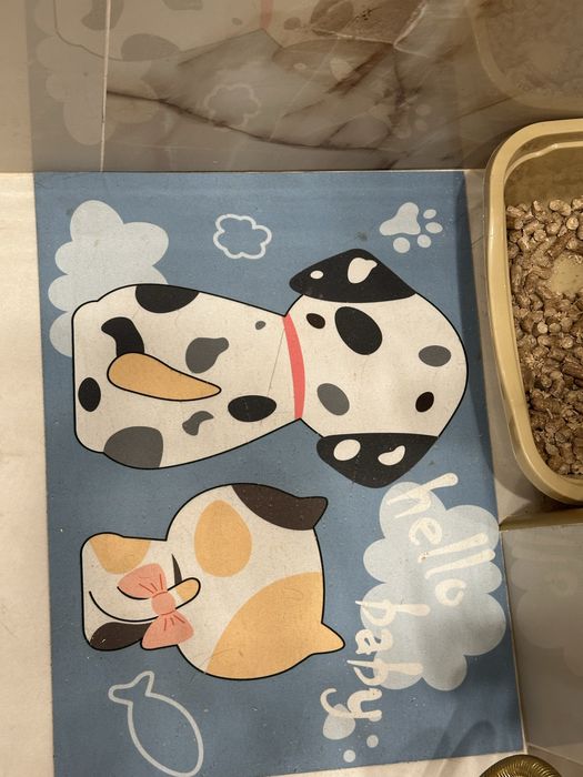 Кошка киса бесплатно
