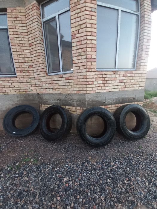 Продам шины для фур.