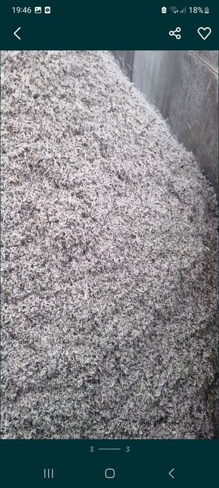 Borhot de sfecla zahar (tăiței)