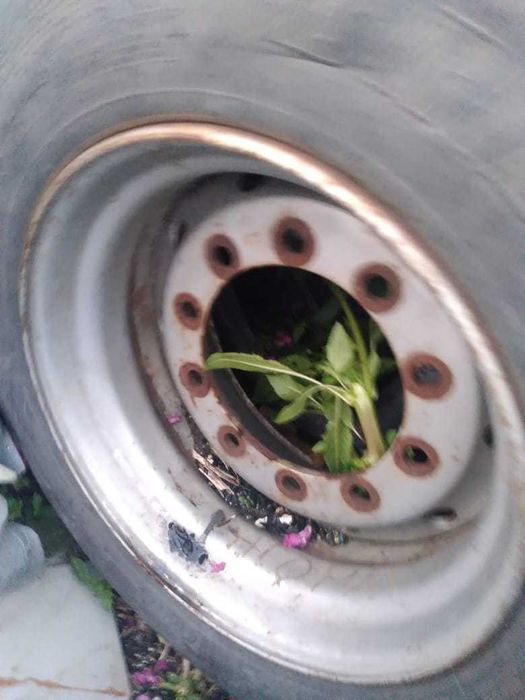 Продажа Колеса грузовое