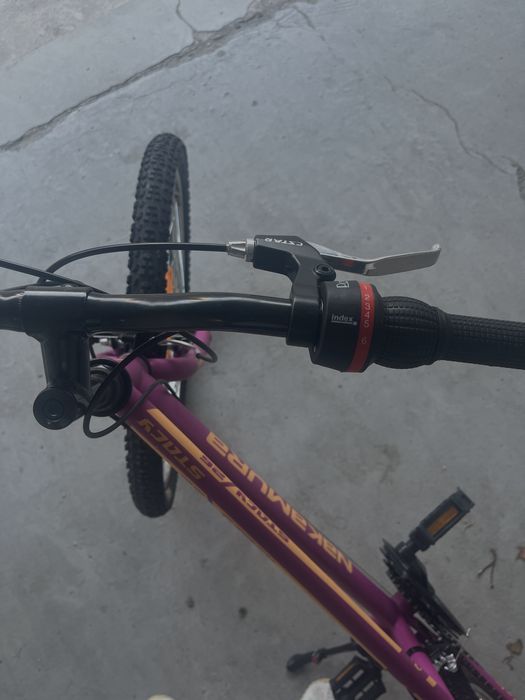 Bicicleta Dama Simpla