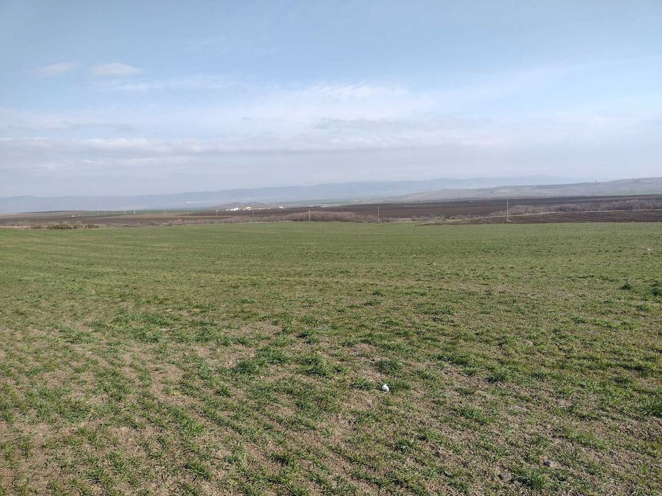 Продава се Парцел в Каблешково - 1400 кв.м за 7 €/кв.м - Снимка #12