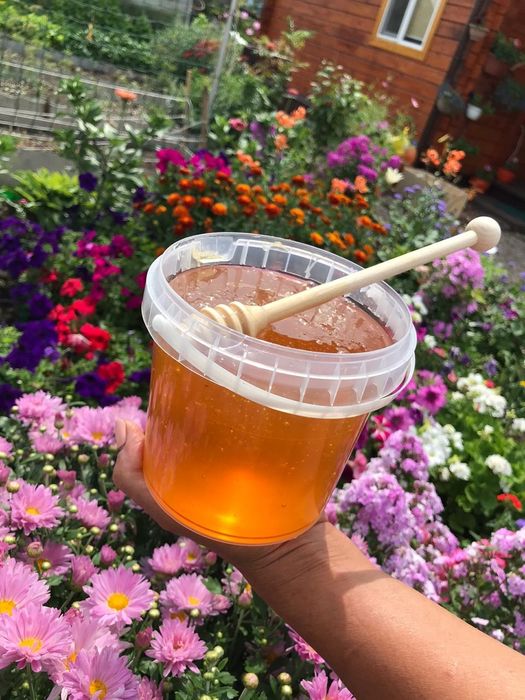 Продам мёд со своей пасеки