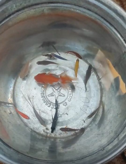 Продается аквариум и аквариум рыбки