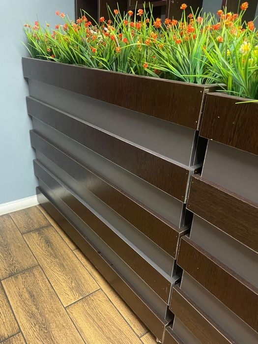 декор  цветов бағасы 15000