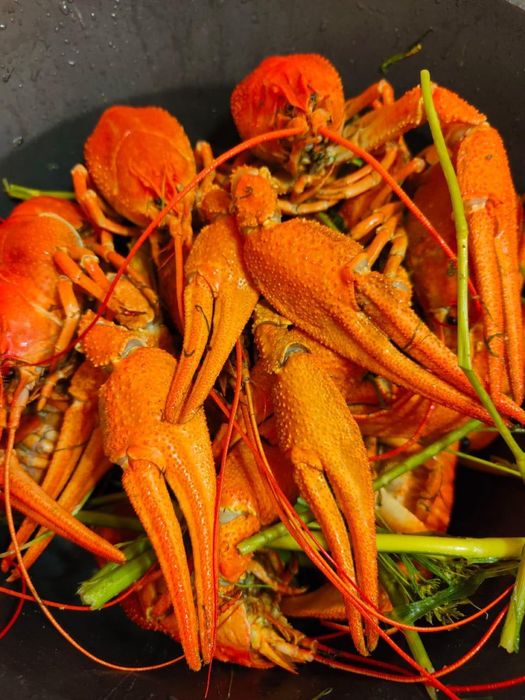 Дикие Раки живые и вареные