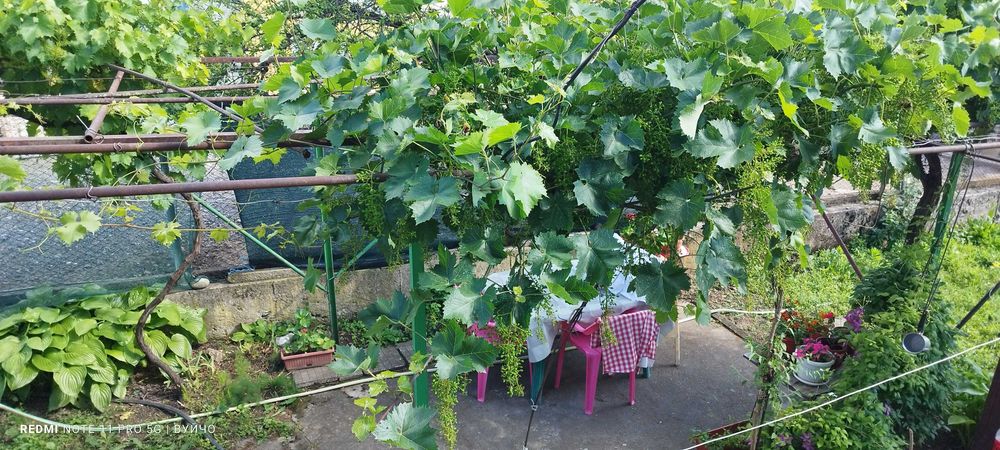 Продава се къща в с.Садовец-Плевенско .86 квадрата къща.На два етажа. Двор-560 кв.м.