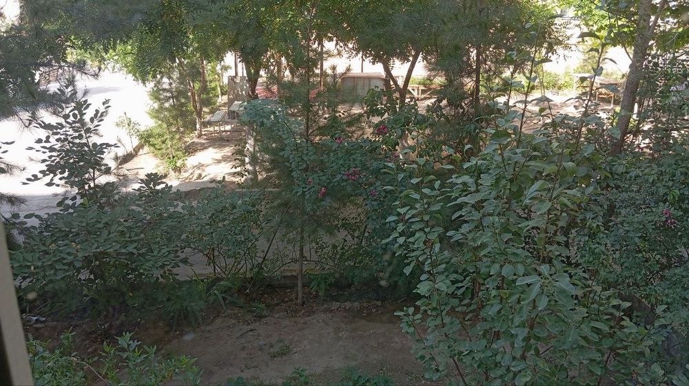 Икки хонали квартира сотилади